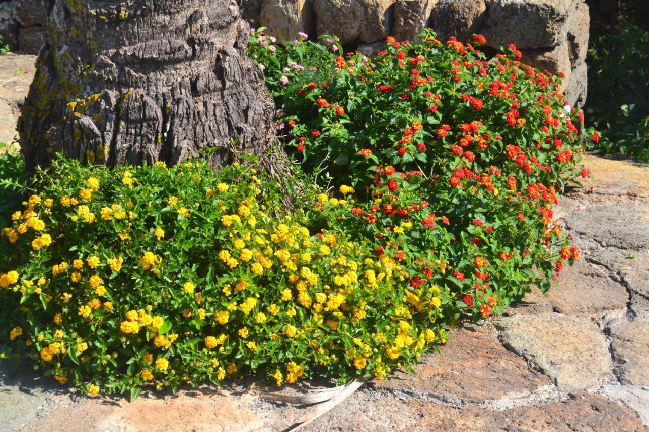 Agriturismo Zinedi Villa Pantelleria Ngoại thất bức ảnh